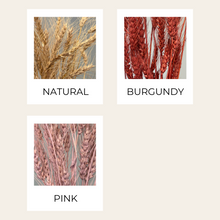 Load image into Gallery viewer, Dried Bearded Wheat