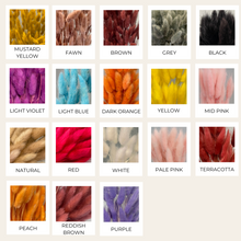 Load image into Gallery viewer, Dried Bunny's Tails
