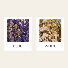 Load image into Gallery viewer, Dried Delphinium