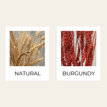 Load image into Gallery viewer, Dried Wheat