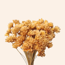 Load image into Gallery viewer, Dried Hill Flower