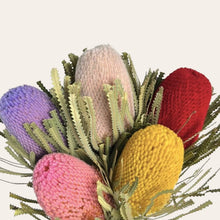 Load image into Gallery viewer, Dried Banksia Hookeriana
