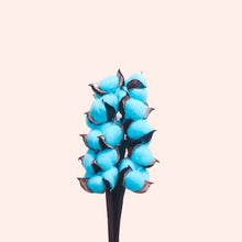 Load image into Gallery viewer, Dried Cotton Bloom