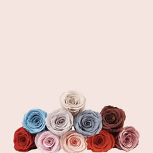 Load image into Gallery viewer, Preserved Roses
