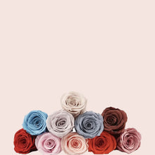 Load image into Gallery viewer, Preserved Rose (8 Heads)