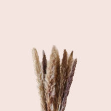 Load image into Gallery viewer, Dried Feather Heads
