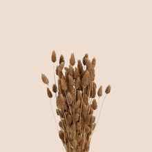 Load image into Gallery viewer, Dried Phalaris