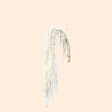 Load image into Gallery viewer, Preserved Amaranthus