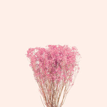 Load image into Gallery viewer, Preserved Baby's-Breath