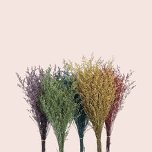 Load image into Gallery viewer, Preserved Limonium