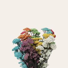 Load image into Gallery viewer, Preserved Rice Flower