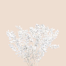 Load image into Gallery viewer, Preserved Ruscus Italian