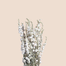 Load image into Gallery viewer, Dried Delphinium