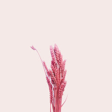 Load image into Gallery viewer, Dried Wheat