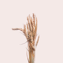 Load image into Gallery viewer, Dried Wheat
