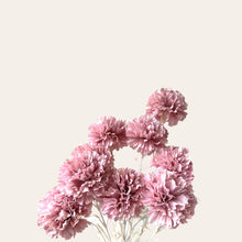 Load image into Gallery viewer, Preserved Carnation
