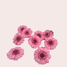 Load image into Gallery viewer, Preserved Gerbera
