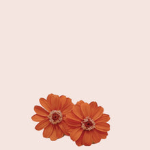 Load image into Gallery viewer, Preserved Zinnia
