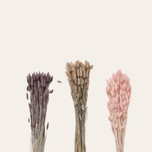 Load image into Gallery viewer, Dried Bunny's Tails