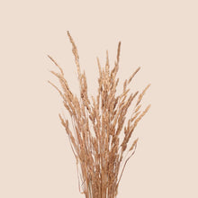Load image into Gallery viewer, Dried Cocksfoot Grass