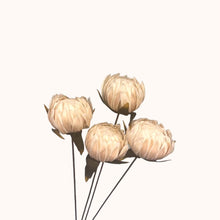 Load image into Gallery viewer, Handmade Ball Flowers
