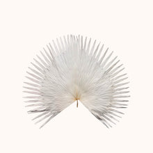 Load image into Gallery viewer, Dried Anahaw Leaf Palm Large
