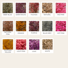Load image into Gallery viewer, Preserved Baby's-Breath