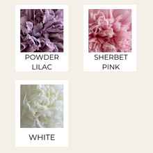 Load image into Gallery viewer, Preserved Carnation
