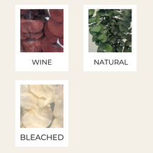 Load image into Gallery viewer, Preserved Eucalyptus B.