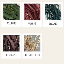 Load image into Gallery viewer, Preserved Eucalyptus Nicholii