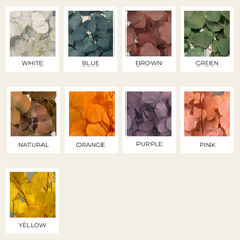 Load image into Gallery viewer, Preserved Eucalyptus P.