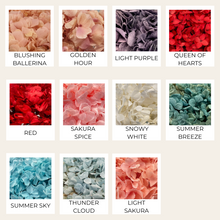 Load image into Gallery viewer, Preserved Hydrangea