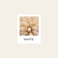 Load image into Gallery viewer, Preserved Magnolia
