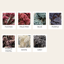 Load image into Gallery viewer, Preserved Rice Flower