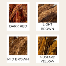 Load image into Gallery viewer, Preserved Setaria