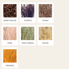 Load image into Gallery viewer, Preserved Limonium