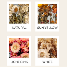 Load image into Gallery viewer, Dried Strawflower