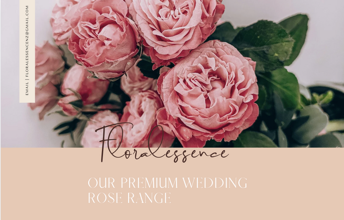 Our Catalogue of Premium Wedding Roses: Hand Pick Your Blooms