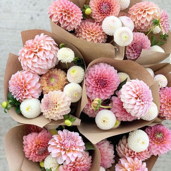 Dahlia Bouquets