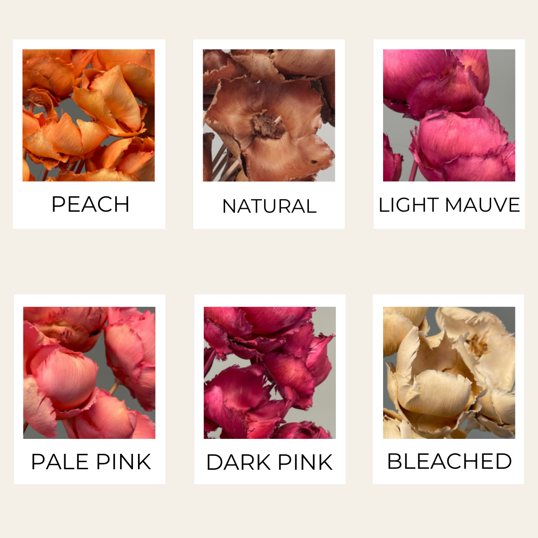 Dried Palm Caps – Floralessence