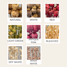 Load image into Gallery viewer, Dried Papaver (Poppy)
