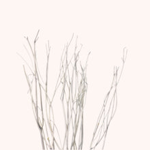 Load image into Gallery viewer, Dried Mitsumata Branch
