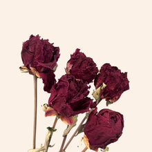 Load image into Gallery viewer, Dried Peony
