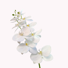 Load image into Gallery viewer, Handmade Phalaenopsis
