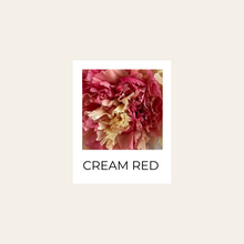 Load image into Gallery viewer, Preserved Carnation Parfait
