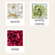 Load image into Gallery viewer, Preserved Dahlia Grace
