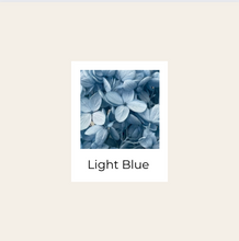 Load image into Gallery viewer, Preserved Hydrangea PeeGee
