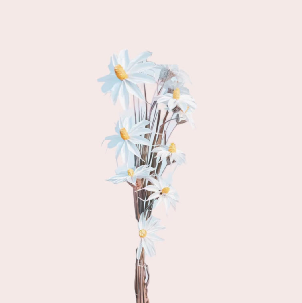 Handmade Daisies
