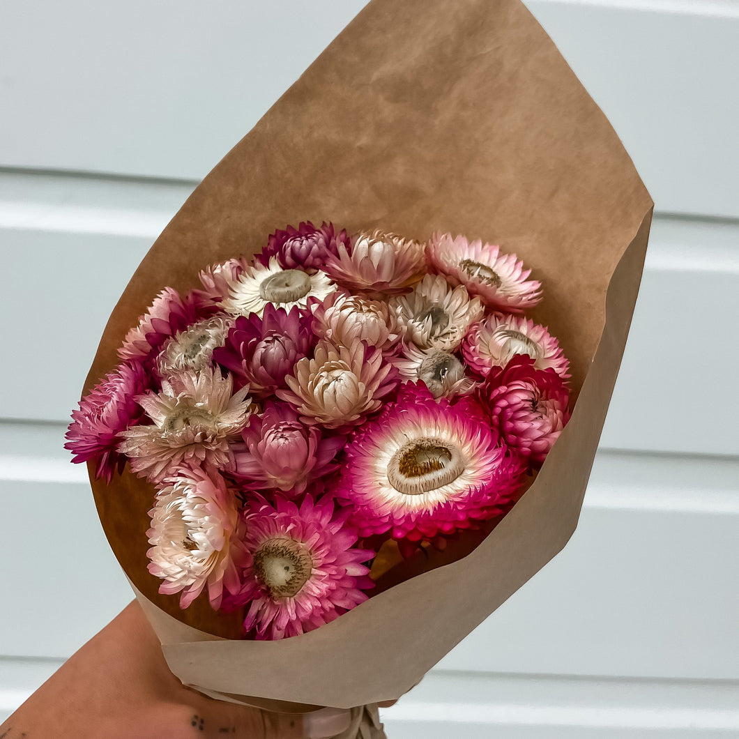 Straw Flowers Magenta